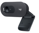 Logitech C505 HD Webcam